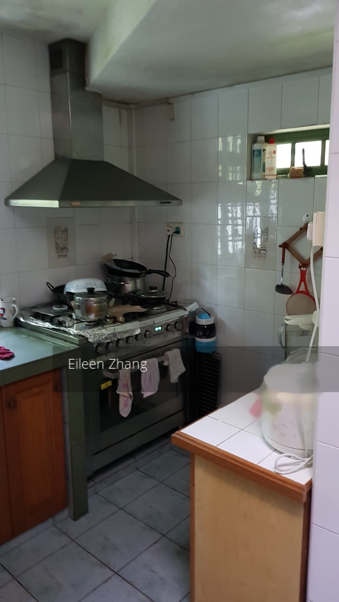 Hong Leong Garden (D5), Terrace #188655142